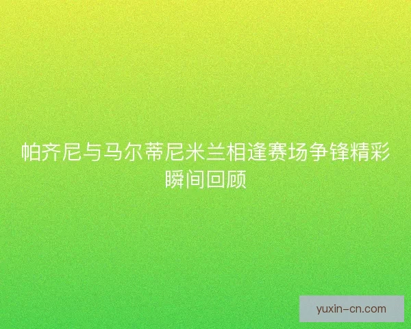 帕齐尼与马尔蒂尼米兰相逢赛场争锋精彩瞬间回顾